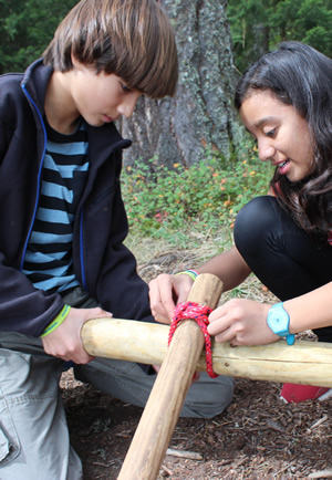 Bridge Building